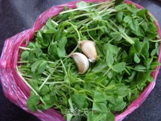 Verdant-fried Pea Sprouts recipe