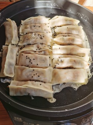 Crispy Mushroom and Egg Pot Stickers recipe