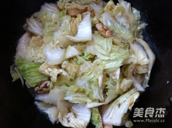 Stir-fried Pork with Cabbage and Tofu recipe