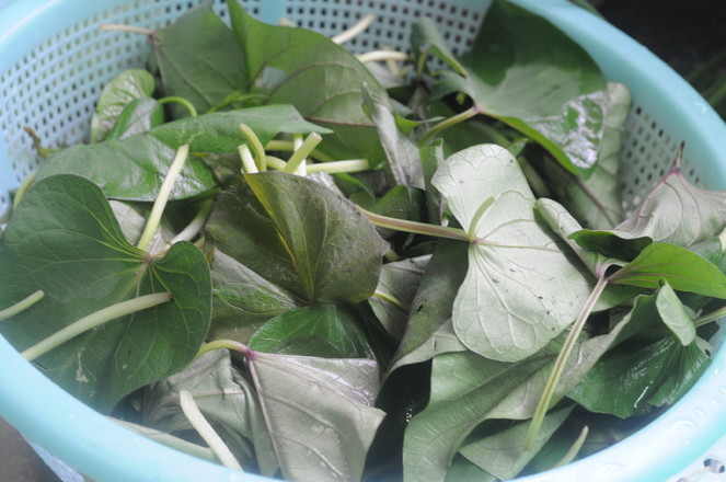 Stir-fried Sweet Potato Leaves recipe