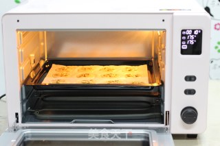 Thin Slices of Melon Seeds-aca E43a Trial Report (1) recipe