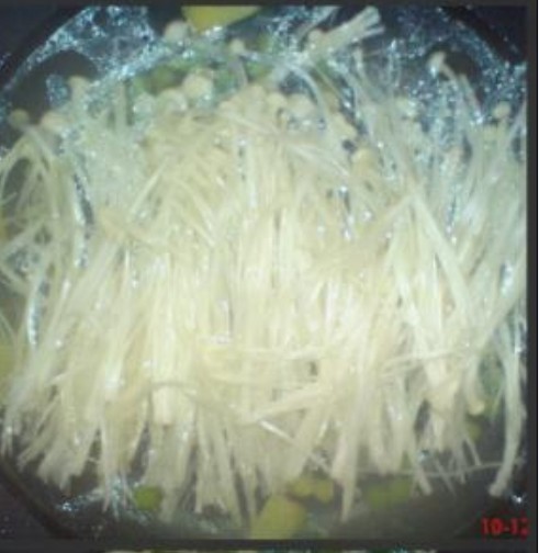 Enoki Mushroom Lean Meat Soup recipe