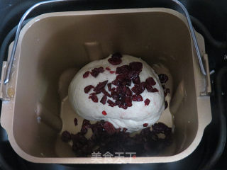 Rich and Rich Taste~【whole Wheat Cranberry Cheese Soft European】 recipe