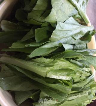 Winter Green Garlic Oil Lettuce recipe