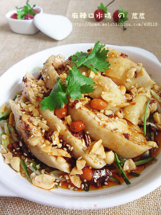 [classic Sichuan Meat Dishes] Spicy Saliva Chicken recipe