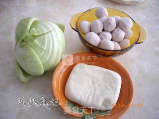 Cored Mustard Meatball Soup recipe