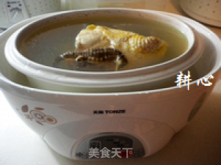 Abalone and Seahorse Chicken Soup recipe