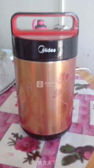 Cool Watermelon Juice recipe