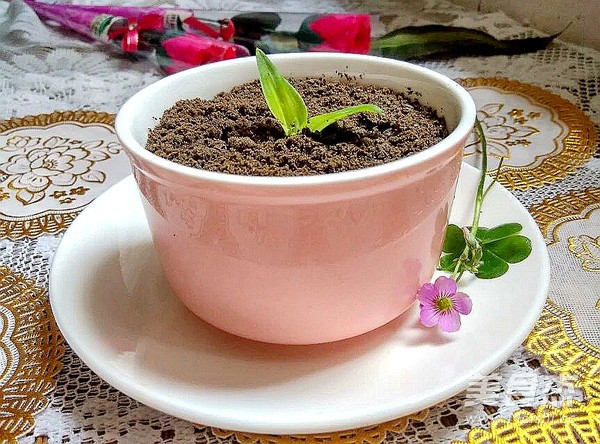 Potted Yogurt recipe