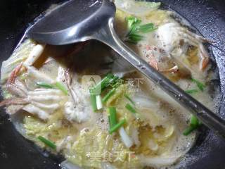 Cabbage Crab Soup recipe