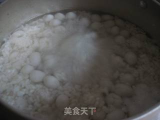 Fermented Rice Balls recipe