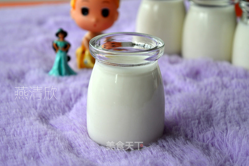 Homemade Honey Yogurt recipe