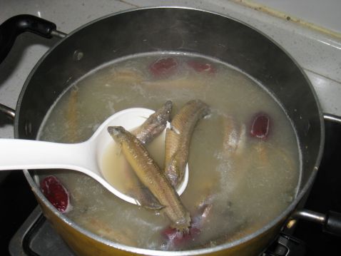 Red Date Loach Soup recipe