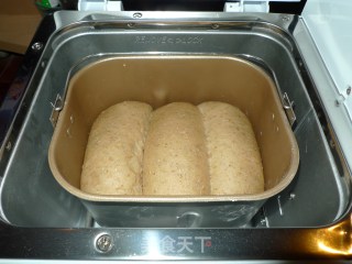 Made with Baicui Pe6300ug Bread Machine----【whole Wheat Toast】 recipe