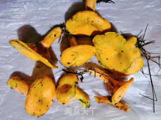 Tasty Wild Pine Mushroom Tofu Pork Soup recipe