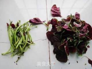 Stir-fried Red Amaranth with Garlic recipe