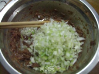 Pork Scallion Pie recipe