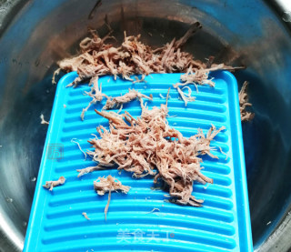 Homemade No Added Pork Floss recipe