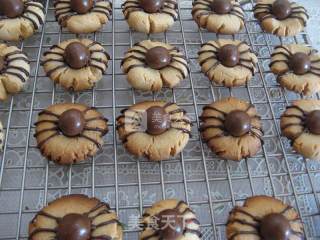 Halloween Spider Shortbread recipe