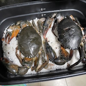Family Version Salt-baked Seafood (applicable to Crab, Abalone, Snails and Shrimp) recipe
