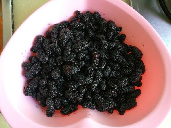 Mulberry Jam recipe