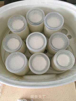 Electric Cooker Version of Yogurt recipe