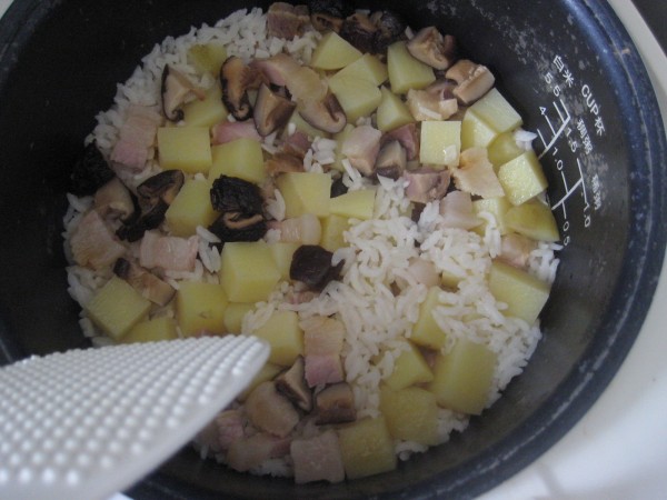 Braised Rice with Potatoes, Mushrooms and Bacon recipe