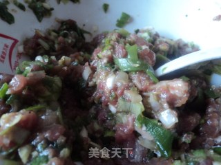 Fried Pork Dumplings recipe