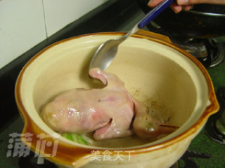 Zhu Hou Baked Pigeon recipe