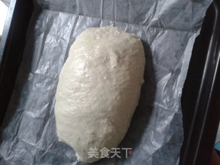 English Salted Bread-bloom Bread recipe
