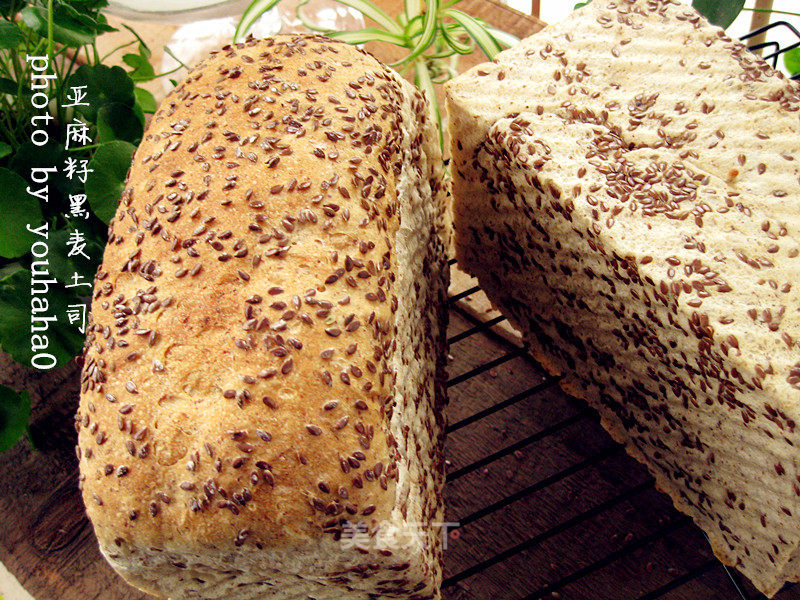 Flaxseed Rye Toast recipe