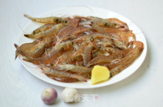 Brine Shrimp recipe