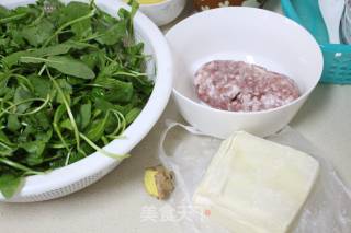 The Most Ecstasy is this Bowl-hot and Sour Shepherd's Purse Wonton recipe