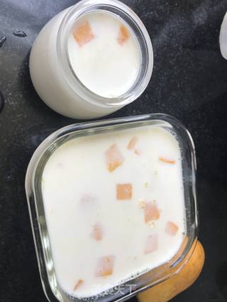 Mango Milk Pudding recipe