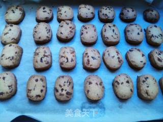 Cranberry Cookies recipe