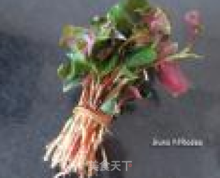 One Dollar Seasonal Side Dish——pleurotus Ostreatus in Cold Dressing recipe