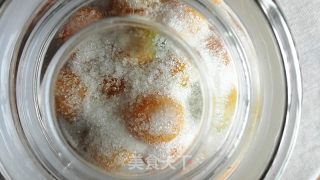 Candied Money Tangerine recipe