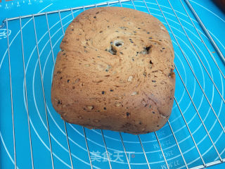 Whole Wheat Nut Bread recipe