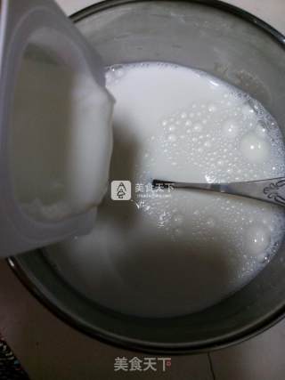 Homemade Fruit Yogurt recipe