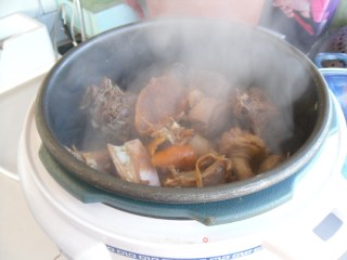 Roasted Goose with Tangerine Peel recipe