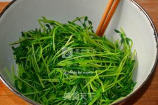 Cool Pea Sprouts recipe