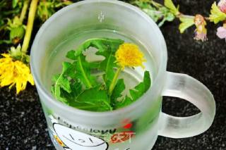 Dandelion Flower Tea recipe