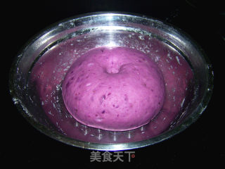 【purple Sweet Potato Mantou】 recipe