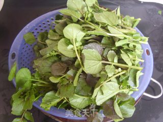 Lao Huo Liang Soup-pork Bone Steamed Watercress recipe