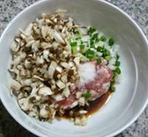 Fried Mushroom and Meat Wonton recipe