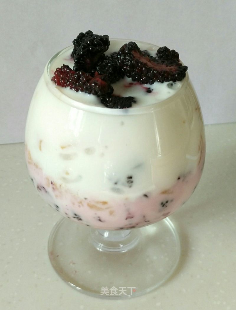 Mulberry Yogurt recipe