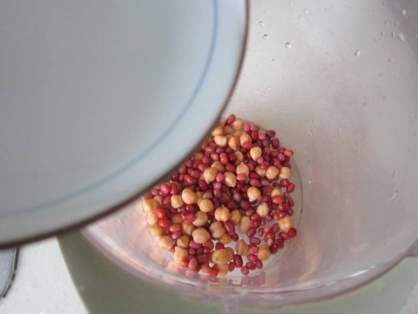 Chickpea Red Bean Soy Milk recipe