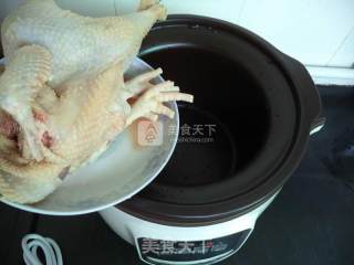 Stewed Chicken with Beiqi Dangshen and Red Dates recipe