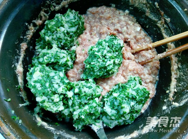 Green Vegetables and Pork Dumplings recipe