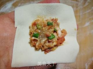 #团圆饭# Fresh Shrimp and Big Meat Wonton recipe